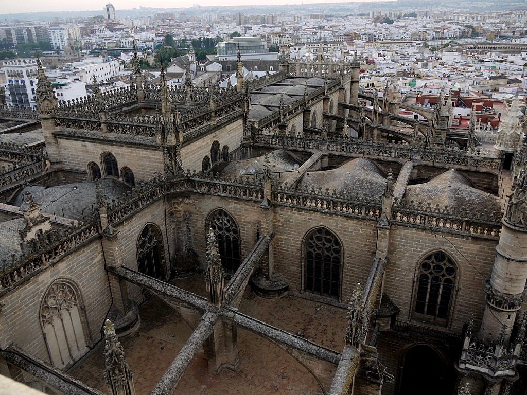 bird-eye  view from Giralda